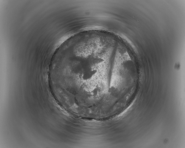 X0000097650921200803142106