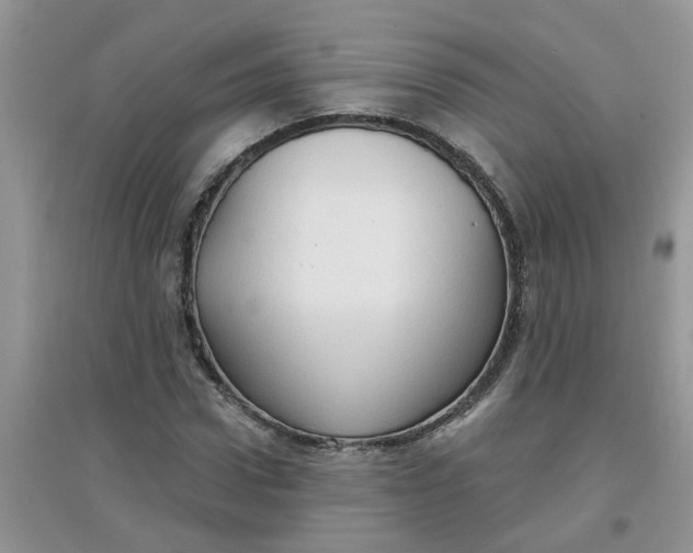 X0000097650922200803142106