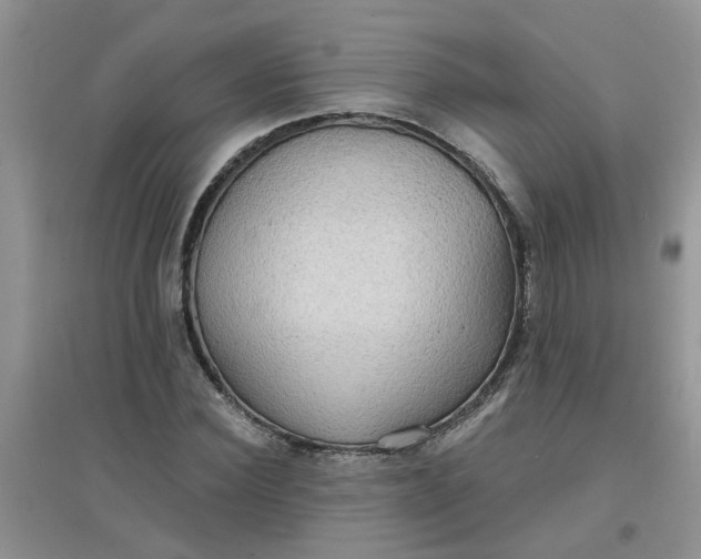 X0000097650924200803142106