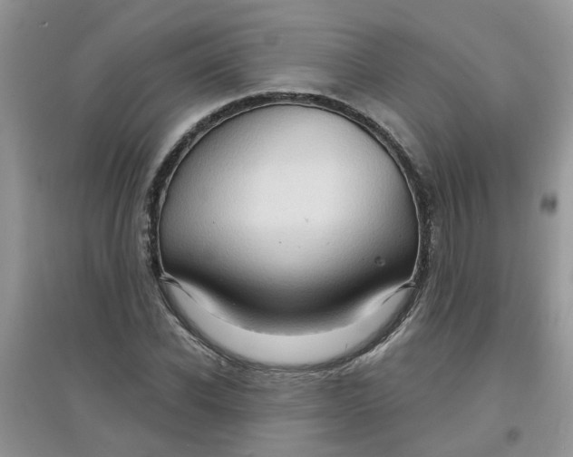 X0000097650926200803142106