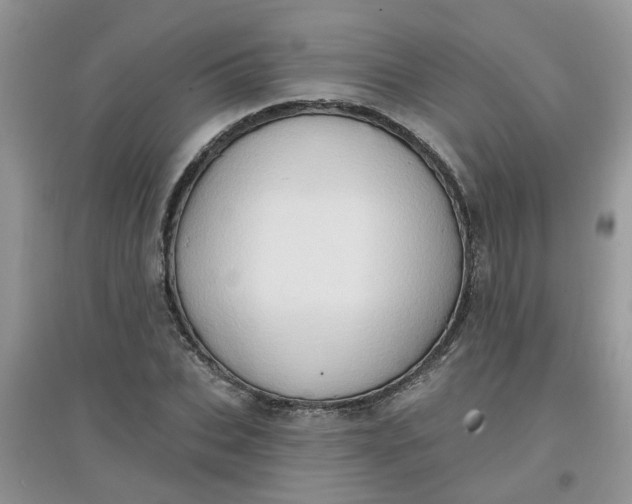 X0000097650927200803142106