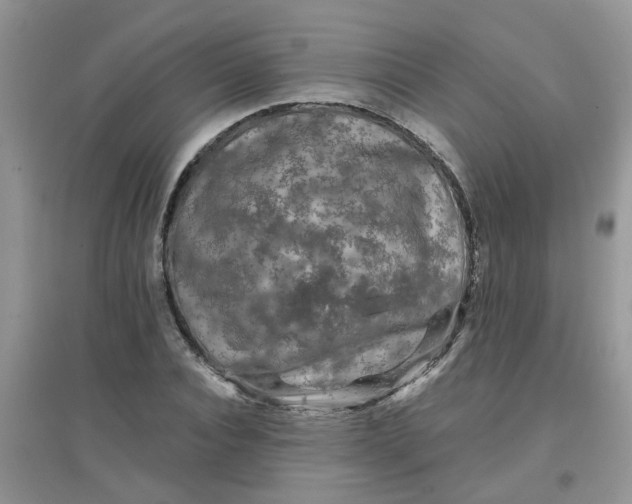 X0000097650928200803142106