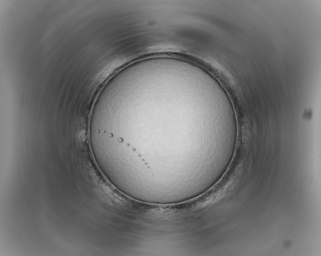 X0000097650929200803142106