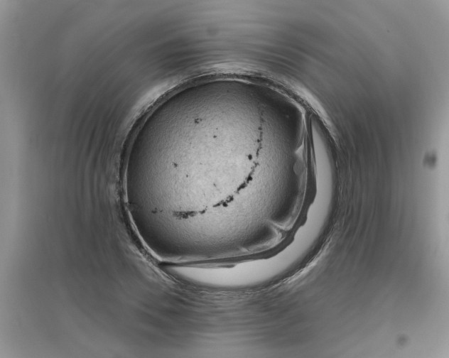 X0000097650930200803142106