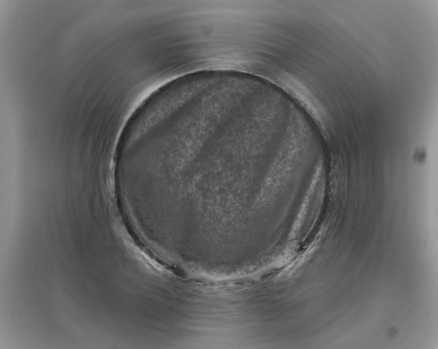 X0000097650932200803142107