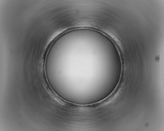 X0000097650933200803142107