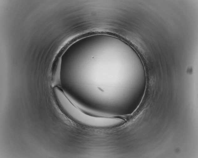 X0000097650934200803142107