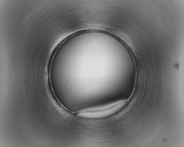 X0000097650936200803142107