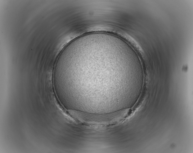 X0000097650937200803142107