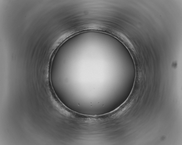 X0000097650938200803142107