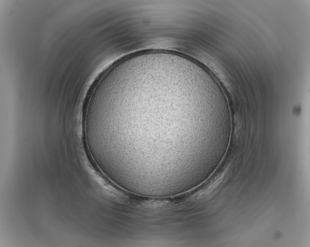 X0000097650939200803142107