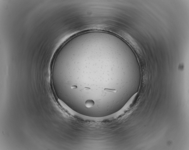 X0000097650940200803142107