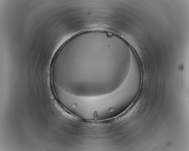 X0000097650941200803142107