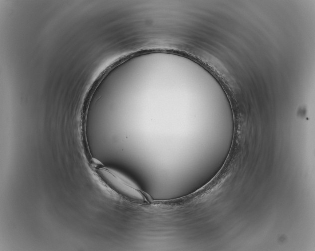 X0000097650942200803142107