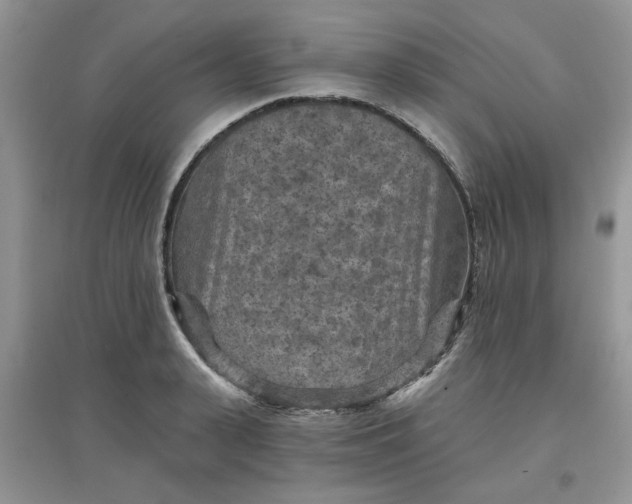 X0000097650943200803142107