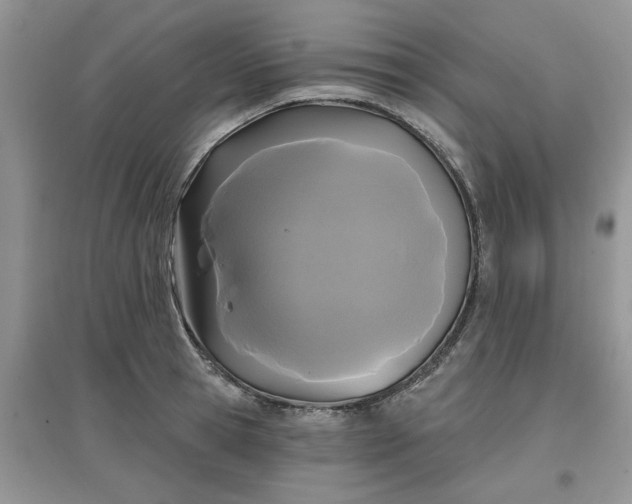 X0000097650945200803142107