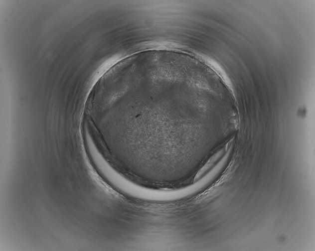 X0000097650946200803142107