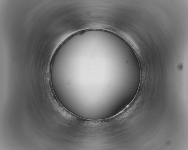 X0000097650948200803142107