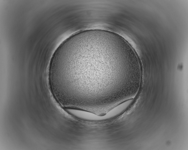 X0000097650949200803142107