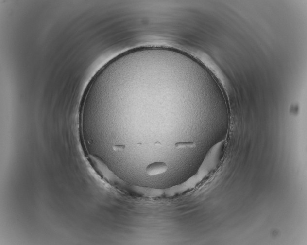 X0000097650951200803142107