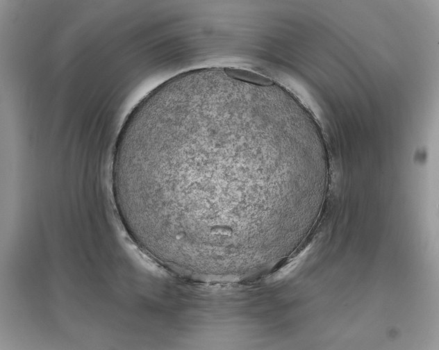 X0000097650952200803142107