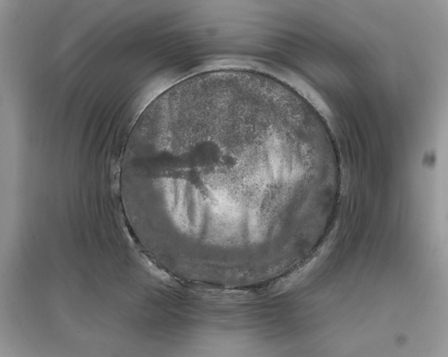 X0000097650953200803142107