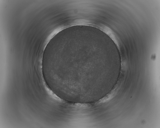 X0000097650954200803142107