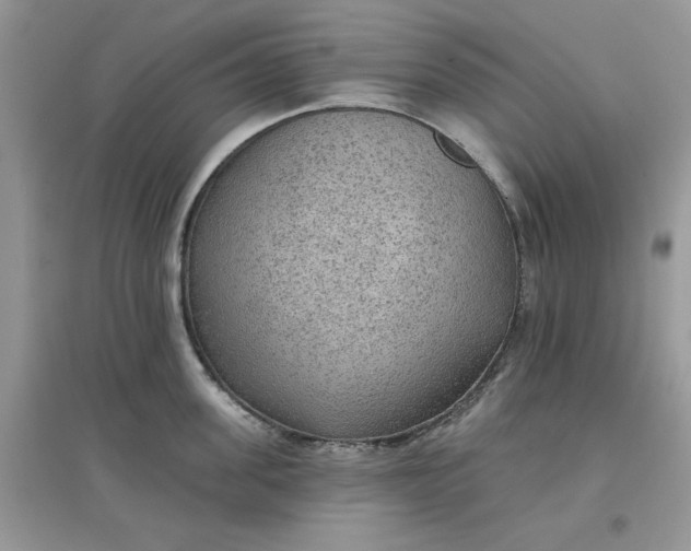 X0000097650955200803142107