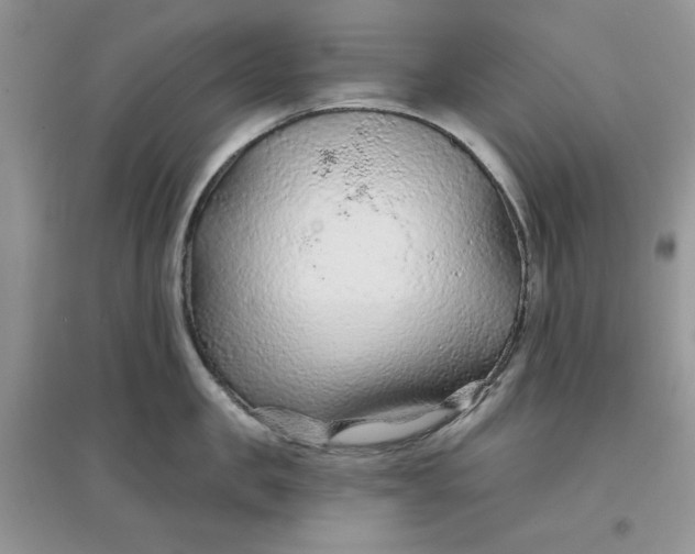 X0000097650957200803142107