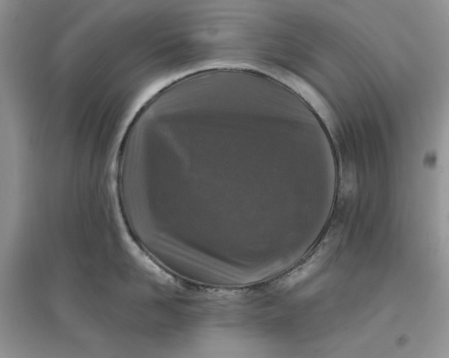 X0000097650958200803142107