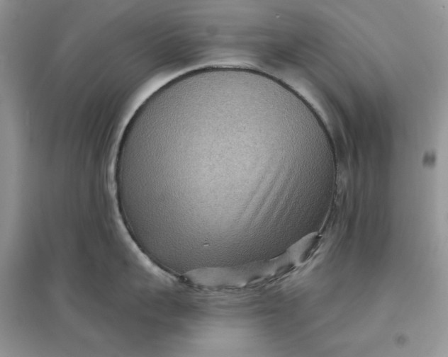 X0000097650959200803142107