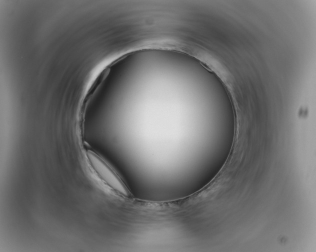 X0000097650960200803142107