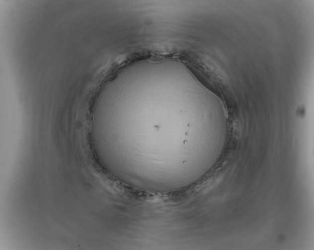 X0000097650961200803142106