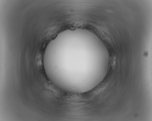 X0000097650962200803142106