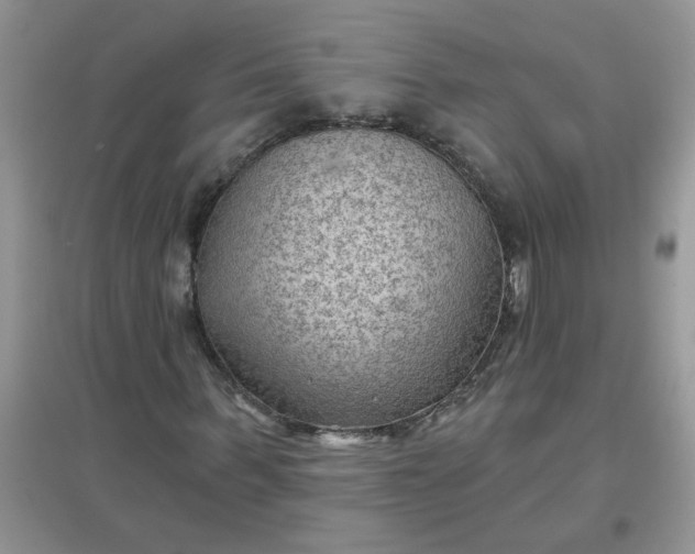 X0000097650963200803142106