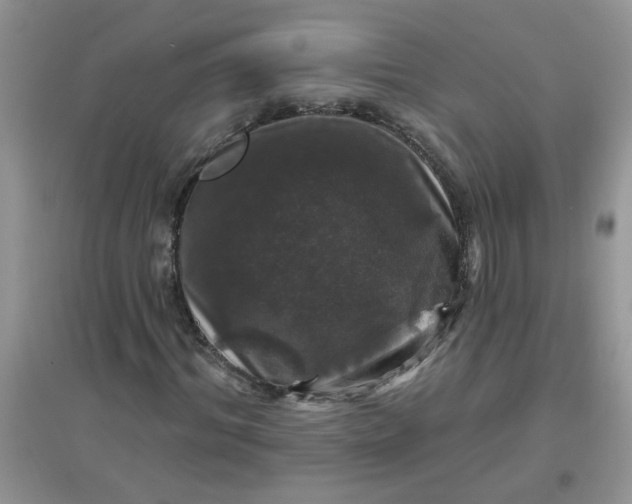 X0000097650964200803142106