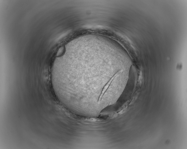 X0000097650966200803142106