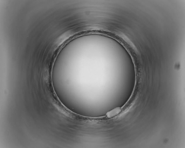 X0000097650969200803142106