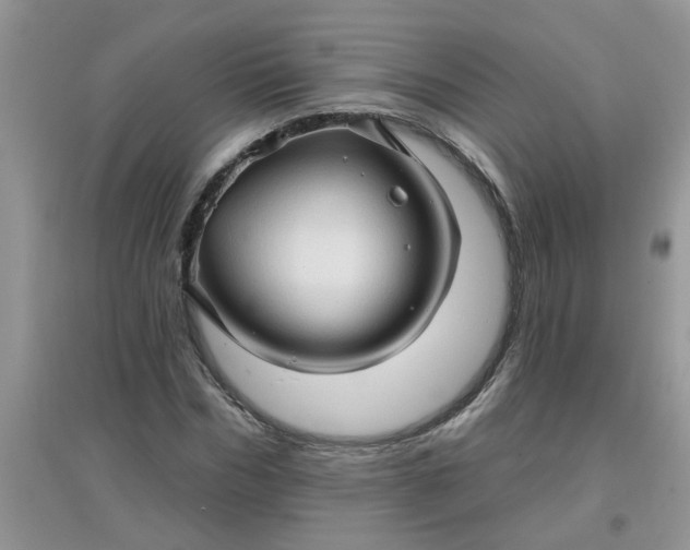 X0000097650970200803142106