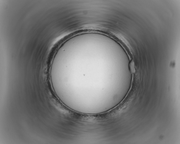 X0000097650971200803142106