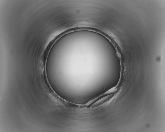 X0000097650973200803142106