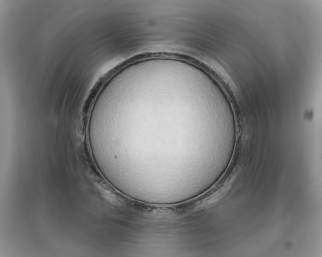 X0000097650974200803142106