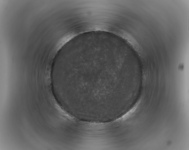 X0000097650977200803142106