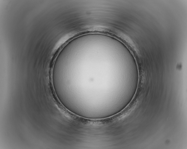 X0000097650978200803142106