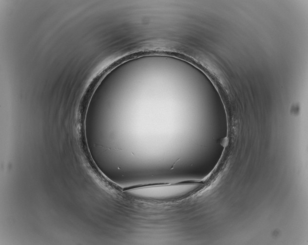 X0000097650981200803142106