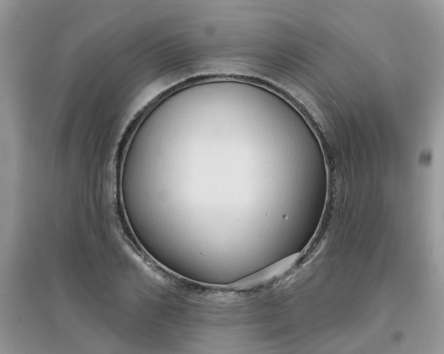 X0000097650982200803142106