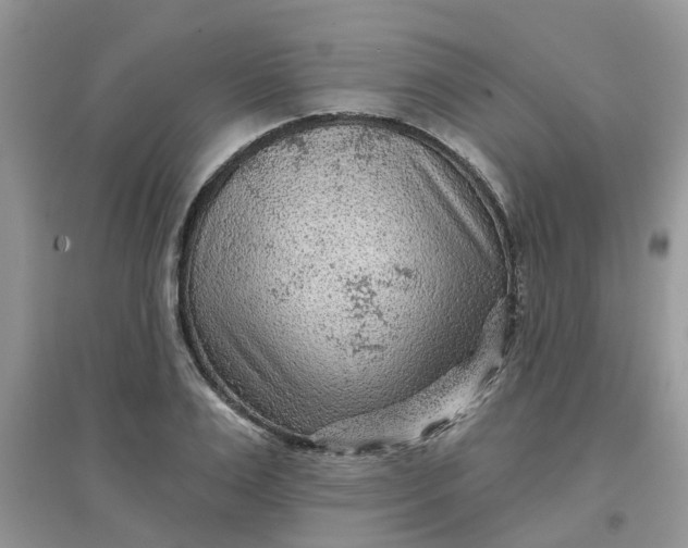 X0000097650983200803142106