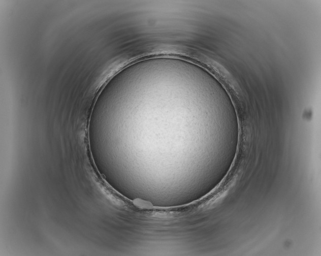 X0000097650985200803142106