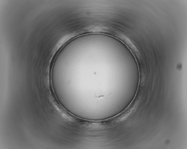 X0000097650986200803142106