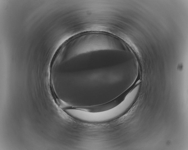 X0000097650988200803142106